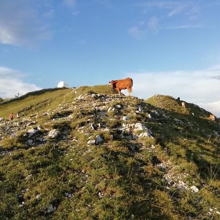 Cahute De Montagne Pour Profiter Du Haut Jura Prémanon Kültér fotó