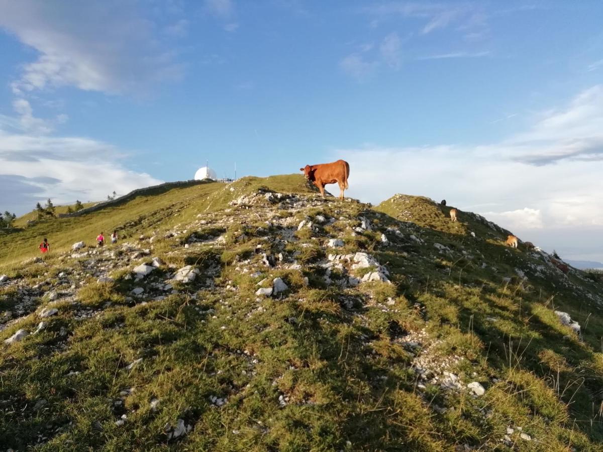 Cahute De Montagne Pour Profiter Du Haut Jura Prémanon Kültér fotó