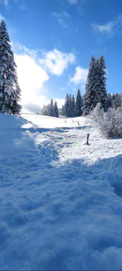 Cahute De Montagne Pour Profiter Du Haut Jura Prémanon Kültér fotó